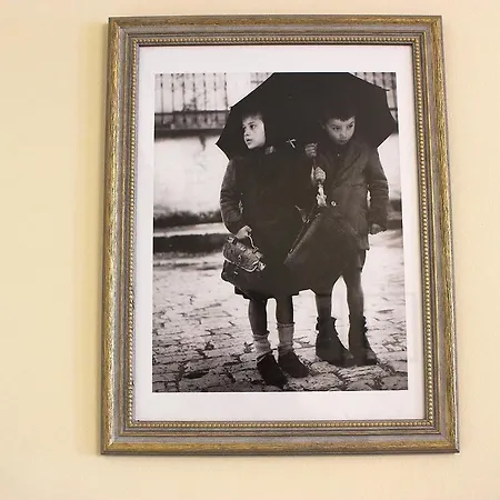 Alkinoos -inspiring Living In Meteora -3bd Apartment